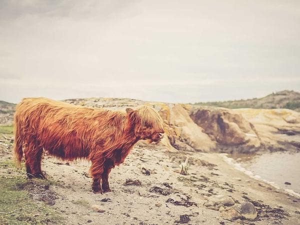 Quinta da Arrábida — 4