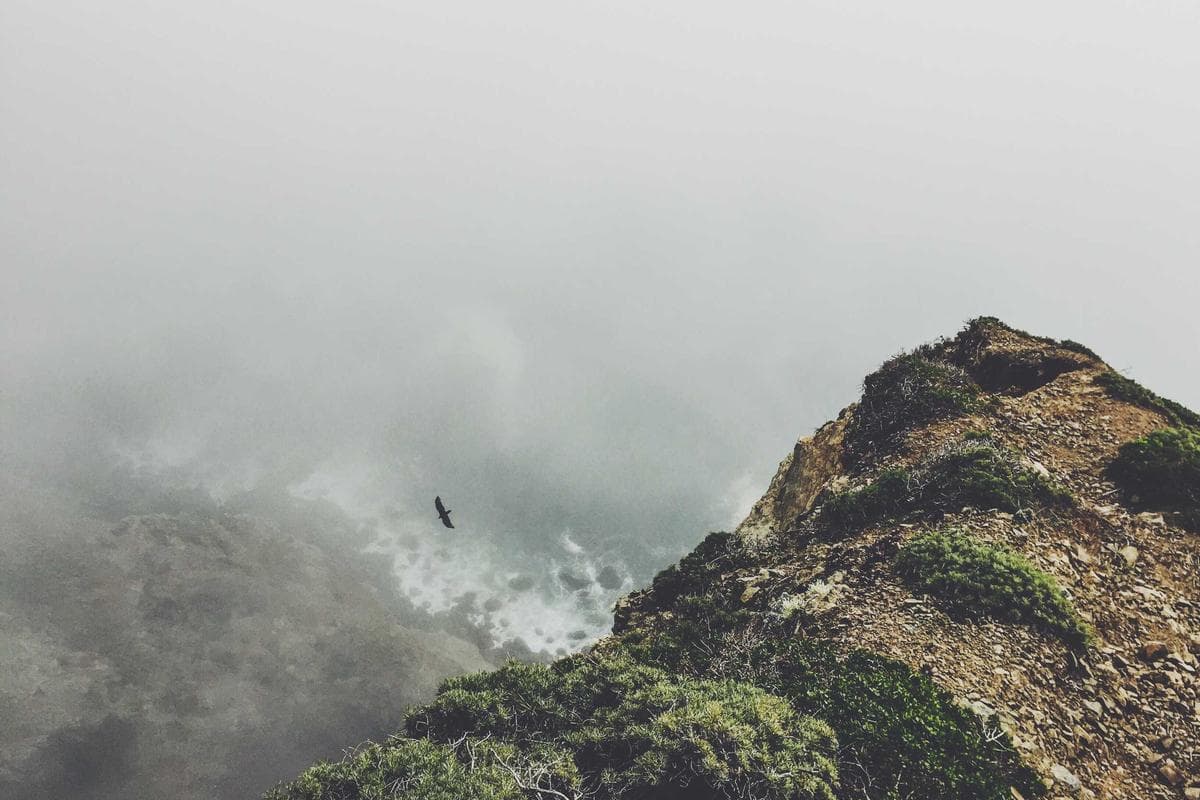 Quinta da Arrábida — 5