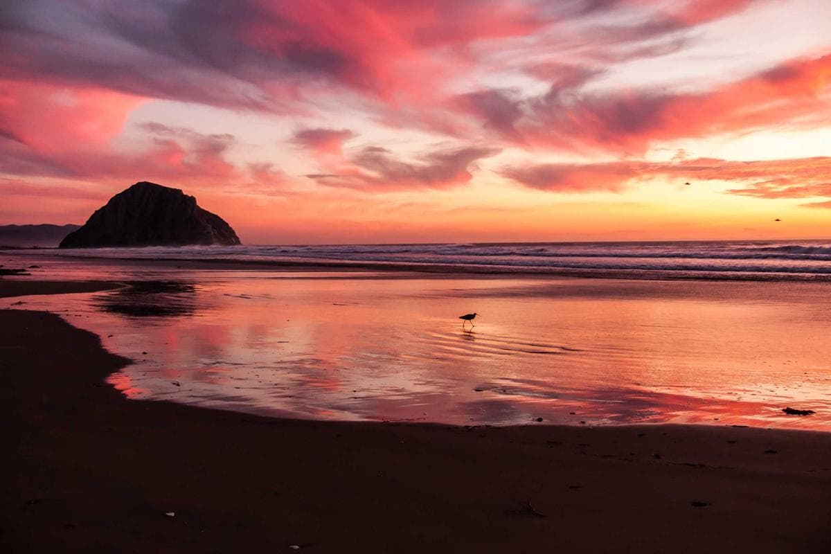 Herdade do Pinheiro — 5