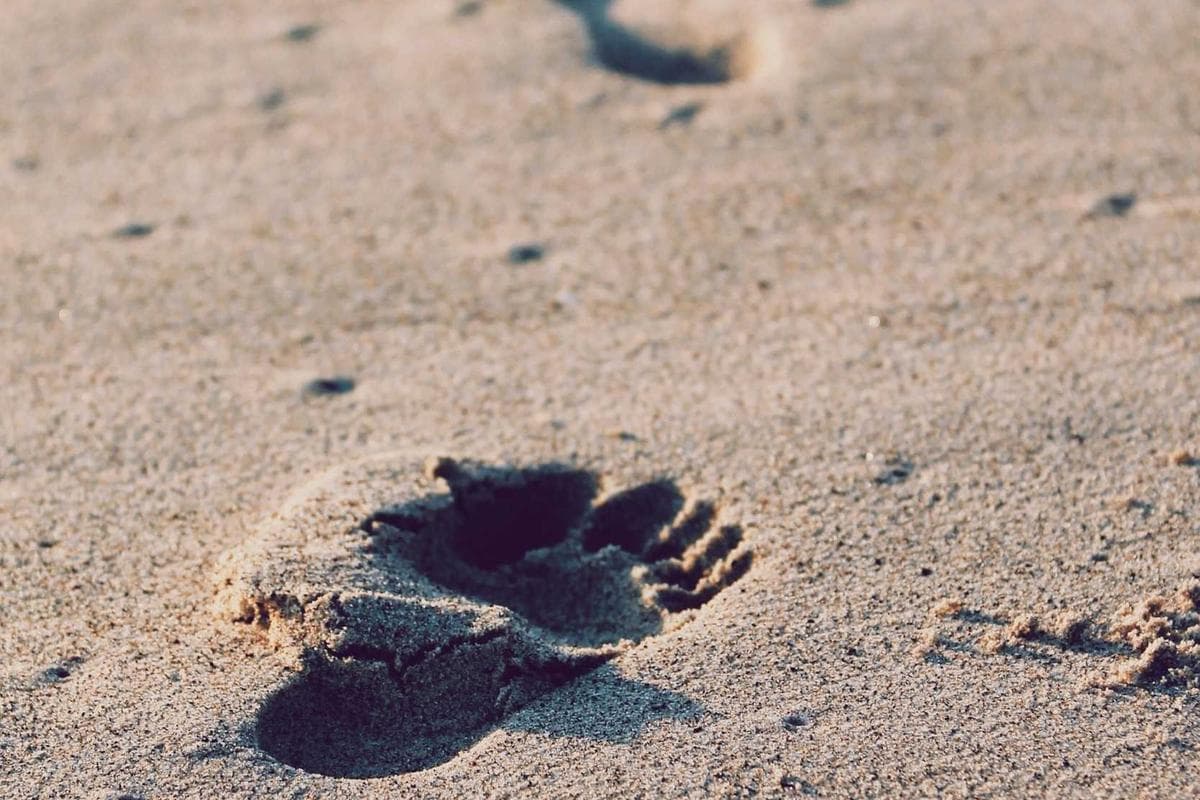 Apartamento T2 em Lagos — Vista Marina — foto 4