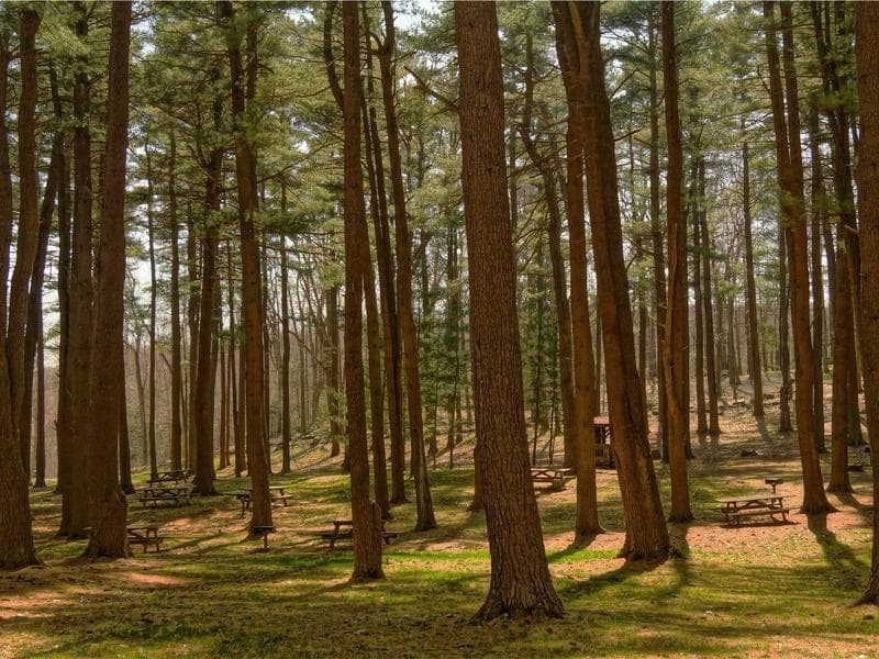 Vivenda T5 na Comporta — Acesso Direto à Praia em Comporta